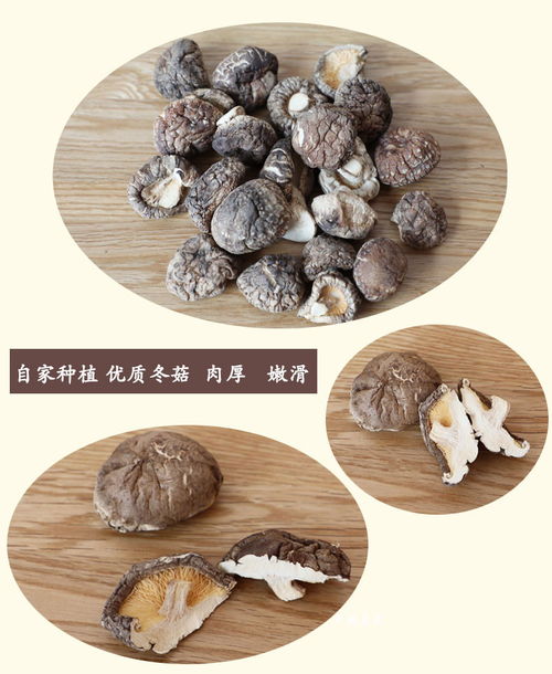 品質之源 常順香菇干貨500g剪腳金錢菇的農家風味與市場價值