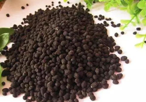 生物菌肥你會用嗎？這六大誤區要注意改正