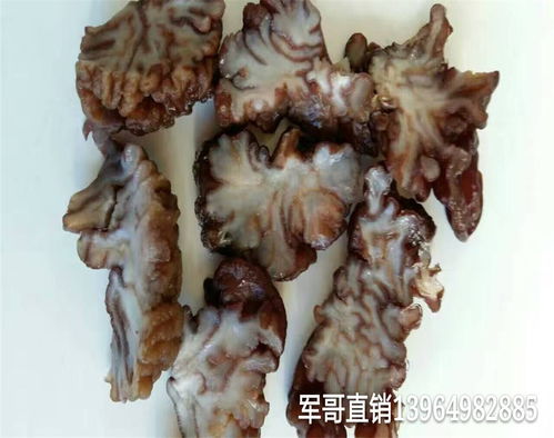 “猴腦菇”說｜營養豐富的食用菌新品，驚艷上市！