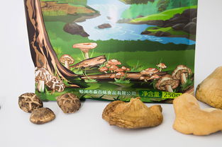 森百味菌類產品包裝設計 自然之味的視覺敘事