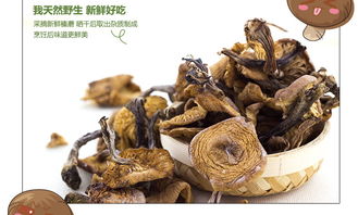 綠然大興安嶺榛蘑200克禮盒 草原深處的新鮮滋味