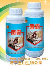 菌霸食用菌專用產品介紹 價格與生產廠家全解析